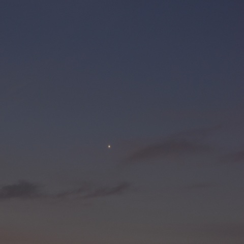 明け方の月と金星 (2022/07/26)