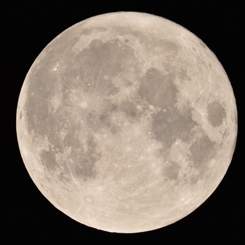 中秋の名月(2022/09/10)