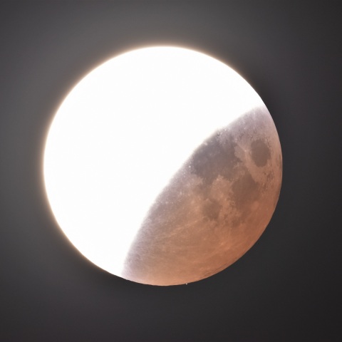 天王星の出現(2022/11/08)