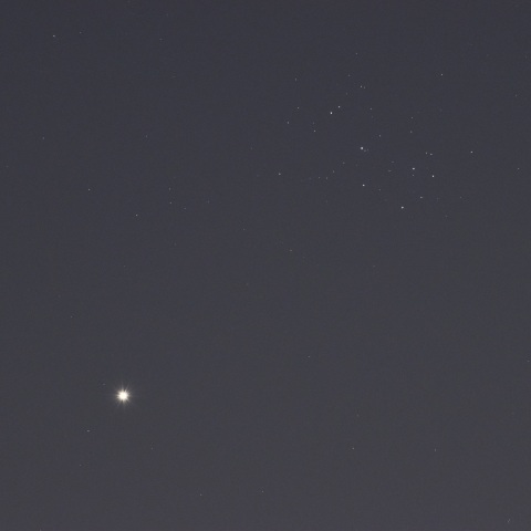 金星とプレアデス星団(2023/04/10)