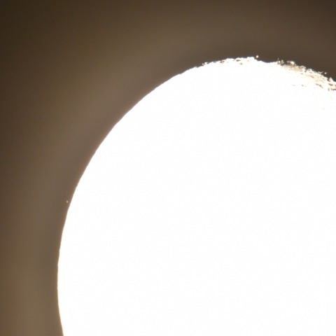 潜入直前のδAri (2023/10/02)