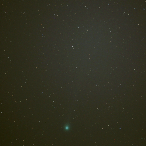 1月31日のラヴジョイ彗星