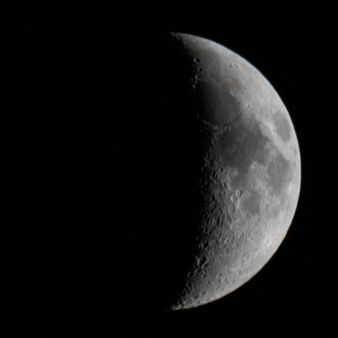 月見、暦の上では上弦ですが…