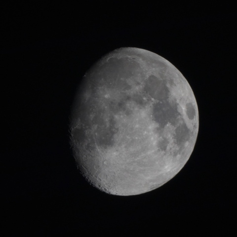 月見、十日余りの月