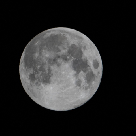 月見、満月、フラワームーン