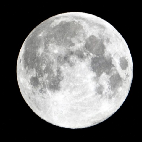 月見、満月、フラワームーン