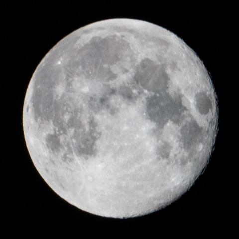 月見、十六夜月