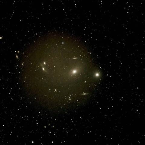 マルカリアンチェーン