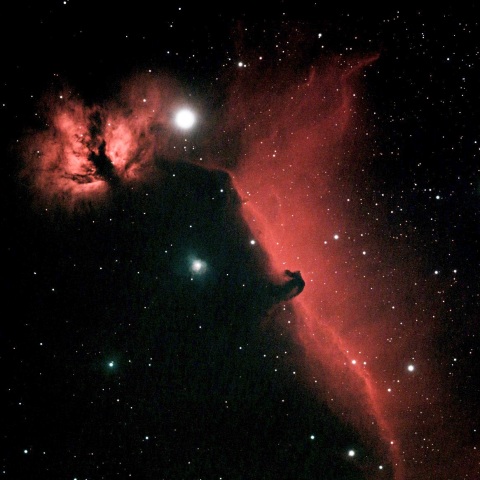 燃える木＆馬頭星雲