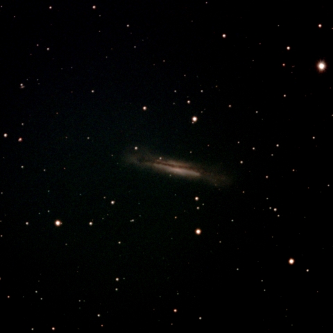 NGC3628