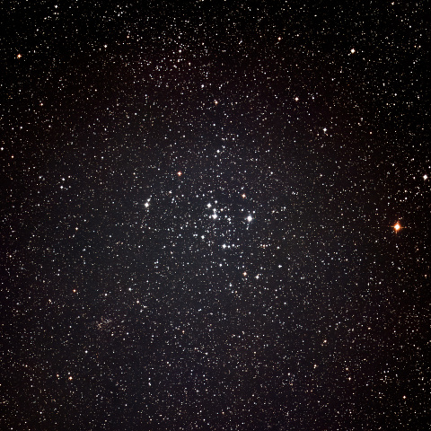 M47　散開星団
