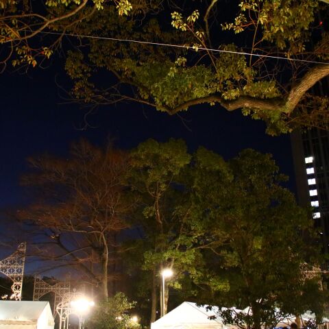 1.17と「ともに」ある金星