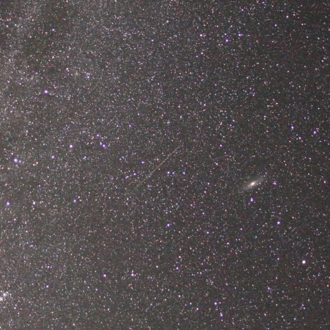 控えめな？Per群その１