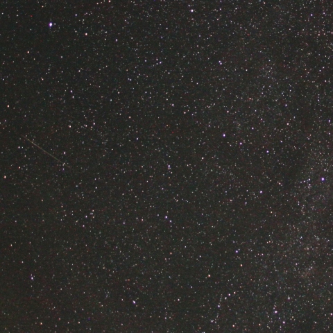 控えめな？Per群その２