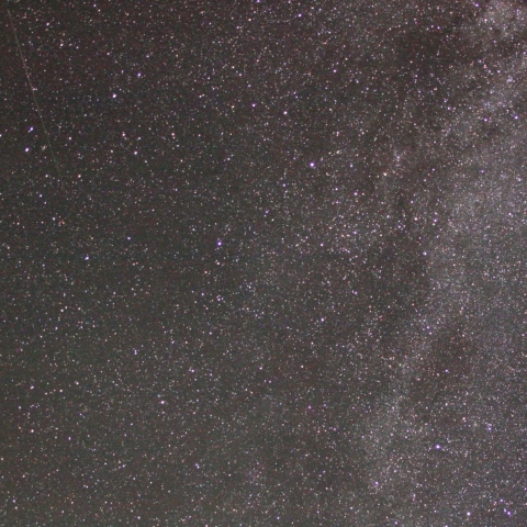 控えめな？Per群その３