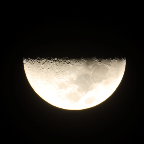 雨上がりの上弦の月