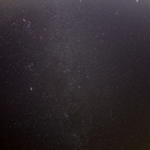 賑やかな冬の星座と流星群