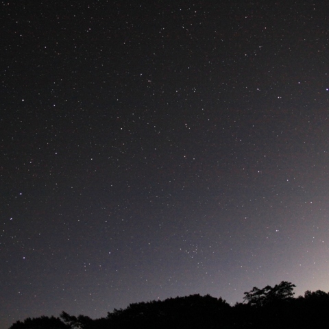 北斗の鎌と獅子の鎌