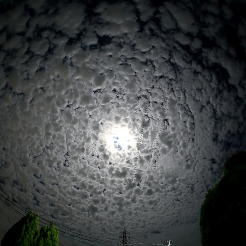 13夜のおぼろ雲