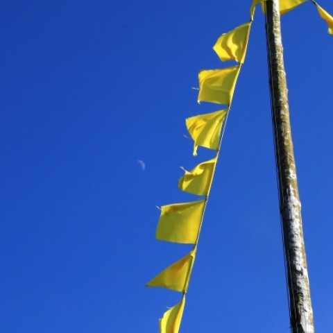 幸せの黄色い…上弦の月