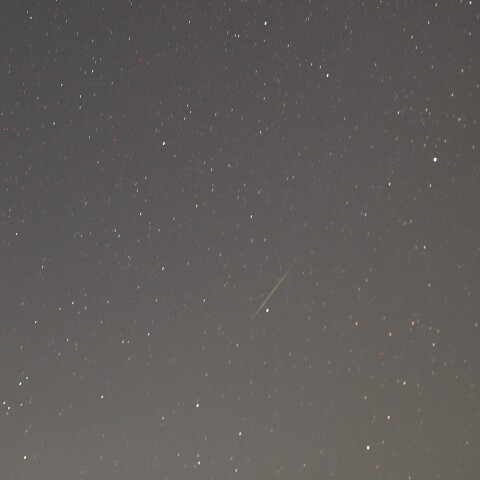 とりあえず…Or群