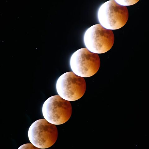 皆既が終って・・・