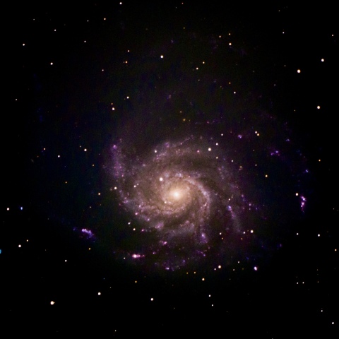 92364: M82 葉巻銀河（おおぐま座 不規則銀河） by T-Kagawa
