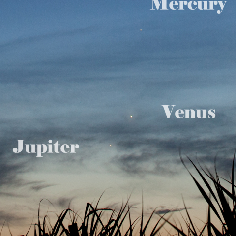 5/29の水・木・金