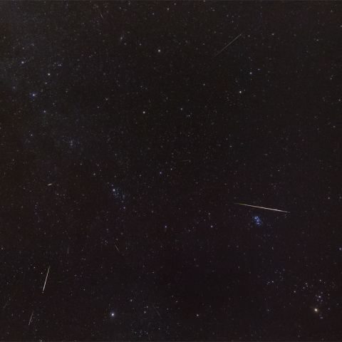 2013年ペルセウス座流星群