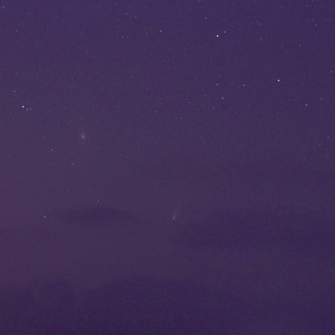 M31とPanstarrs彗星