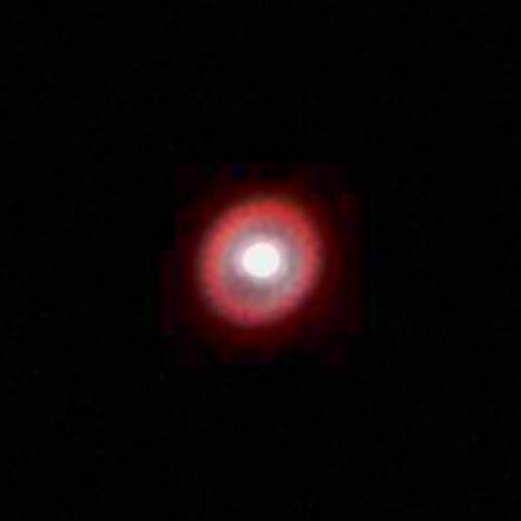 うさぎの赤い瞳　01/09