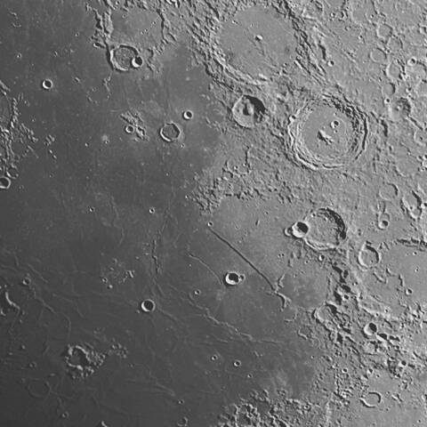 タクトを振る黒猫　6/05