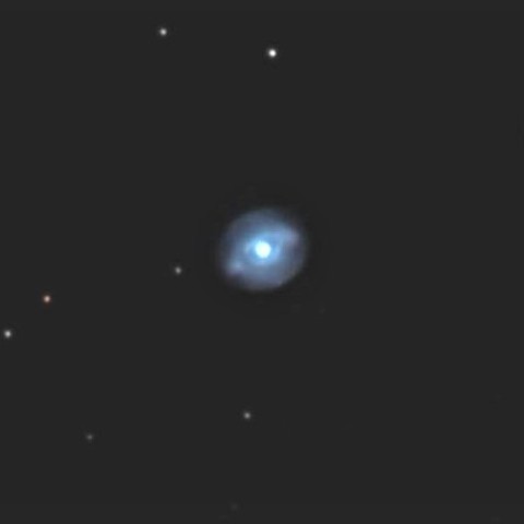 つぶらな瞳まばたき