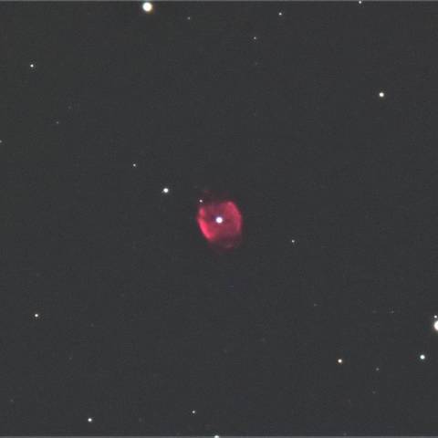 魅惑レッドNGC40