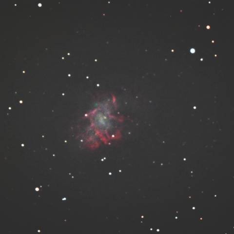 初フィラメントM1