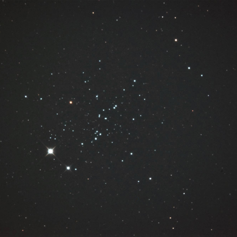 紅一点NGC457