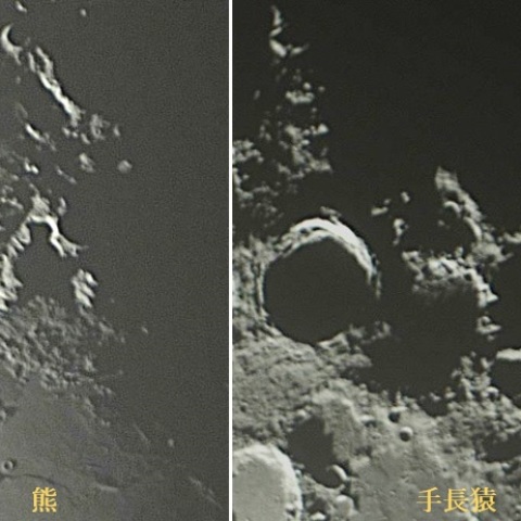 月面熊と疾走する猿