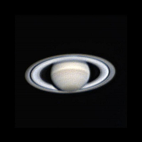 土星　春一番が一番