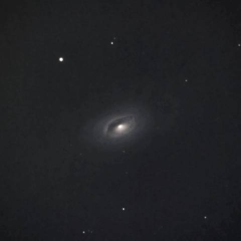 都会の黒眼は魅惑的