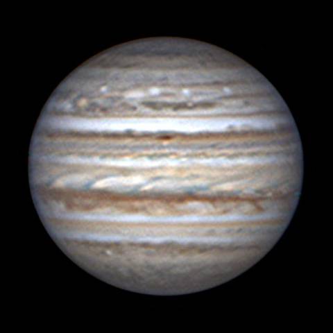 フェストーン先っぽ