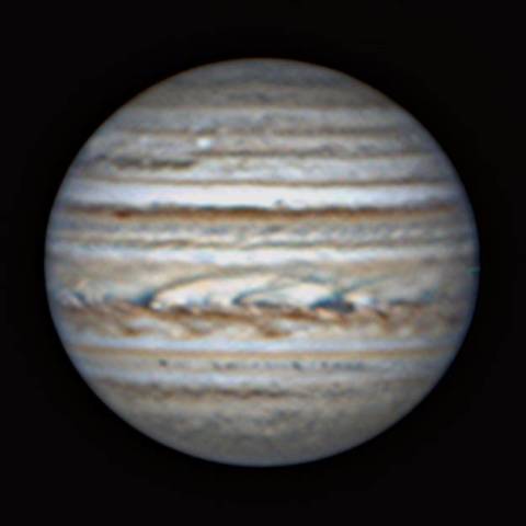 長く絡まるフェストーン