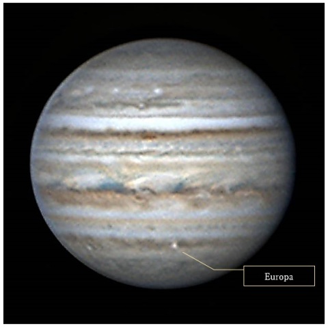 白斑！見まごうエウロパ