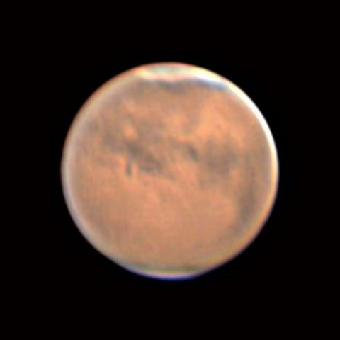 模様復活…ほぼ🐕