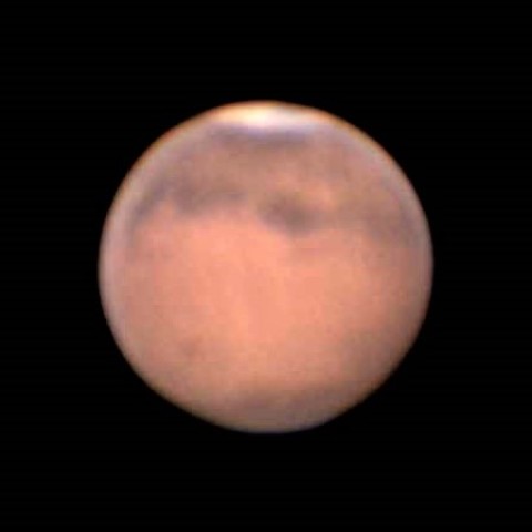 オリンポス山？ほぼ🐕