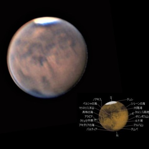 模様の照合～ほぼ🐕