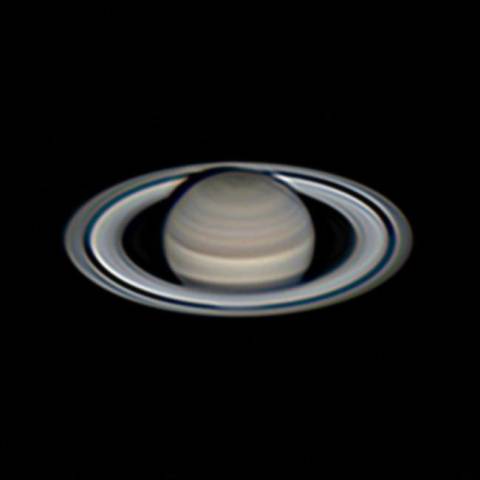 本体の縞模様、ほぼBest🐕