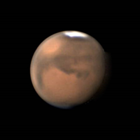 ときめきアリンの爪　少年時代🐕