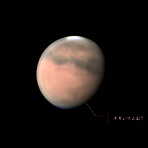 エリシウム山・か🐕？