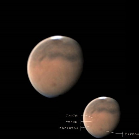 火星におへそ🐕