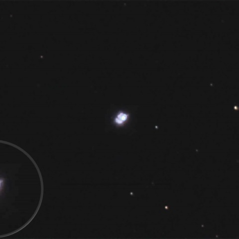 メタリックな甲虫？